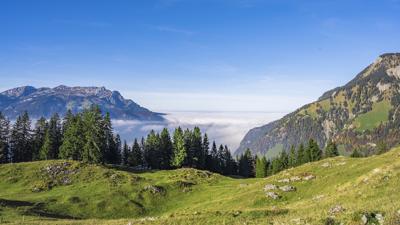 Tour ins Maiensäss Valcaus