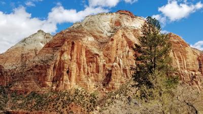 Timber Creek Overlook Trail