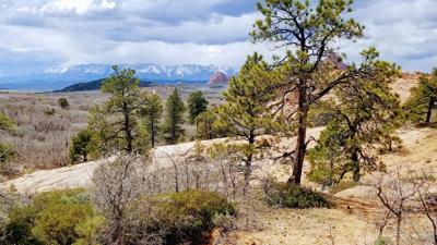 Connector Trail