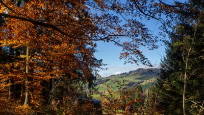 Appenzeller Weg, Etappe 2/3