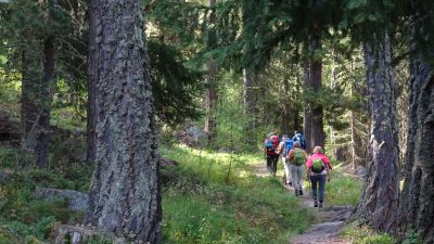 Zauberwasser-Weg Grächen