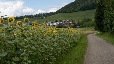 Rigi–Reuss–Klettgau, Etappe 3/4