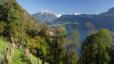 Waldstätterweg, Etappe 1/7