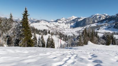 Alter Schwyzerweg