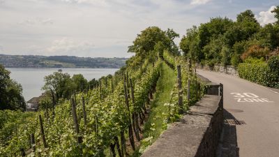 Goldküste–Limmat, Etappe 1/2