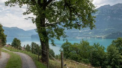 Brienzersee Bike