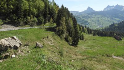 Ibergeregg–Sattelegg–Linth, Etappe 2/2