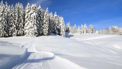 Piste de la Tourbière