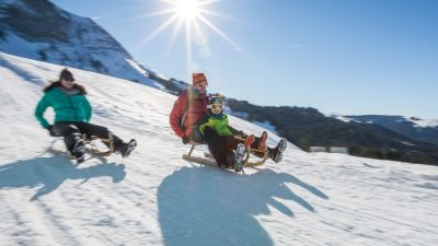 Descente en luge de Moléson