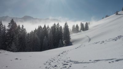 Schwyberg Trail