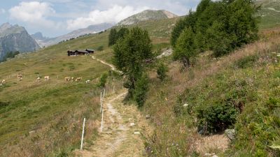Valais Alpine Bike, Etappe 6/6
