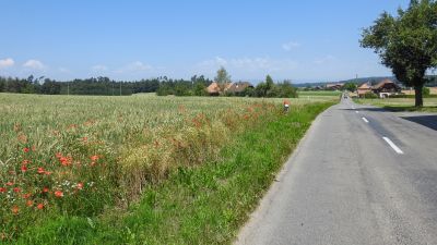 Alter Bernerweg, Etappe 2/4