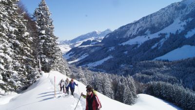 Lehmen–Kronberg Trail