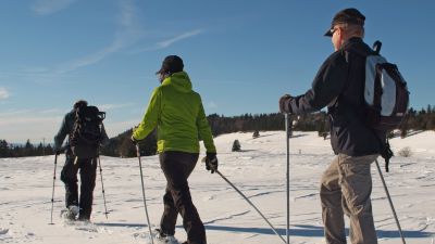 Wandflue Trail