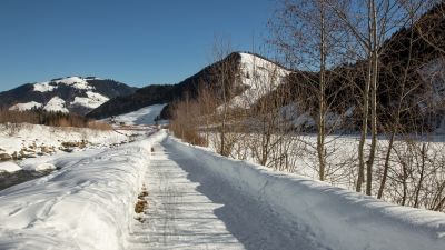 Schützenried-Rundweg