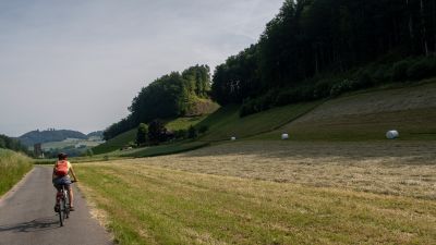 Grünes Band Bern
