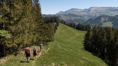 Grenzpfad Napfbergland