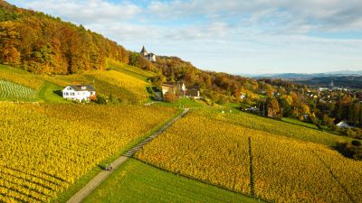 Ostschweizer Wein-Route, Etappe 2/2