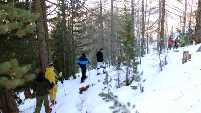 Gspon Trail