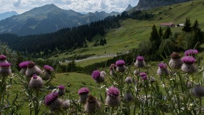 Prättigauer Höhenweg, Etappe 1/4