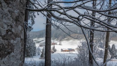 Winterwanderweg Gais