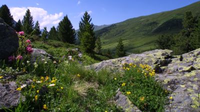 Flüela-Schwarzhorn-Weg