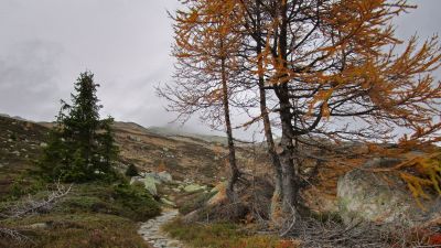 Grimsel Bike