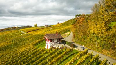 Ostschweizer Wein-Route