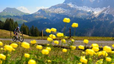 Choltal