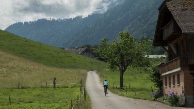 Stockentalroute
