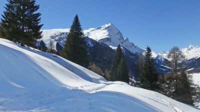 Panell-Schneeschuhtrail