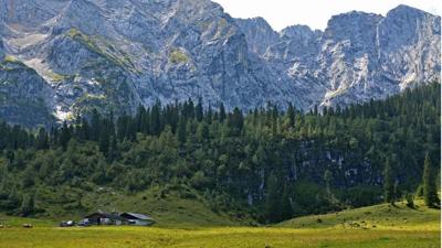 Wettersteinalm