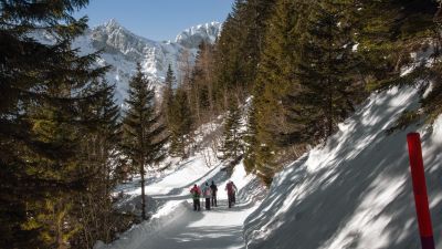 Panoramaweg Rigidalalp