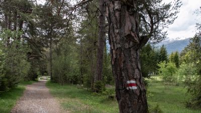 ViaSett, Etappe 2/6
