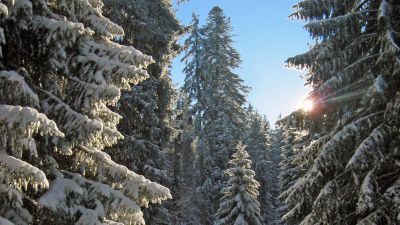 Parcours Le Noirmont–Les Bois