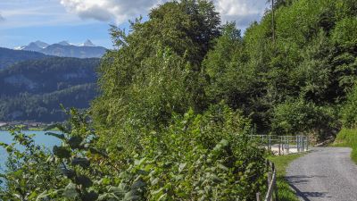 Lungererseerundfahrt