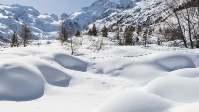Morteratsch-Winterwanderweg