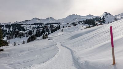 Nühusweidli-Winterwanderweg