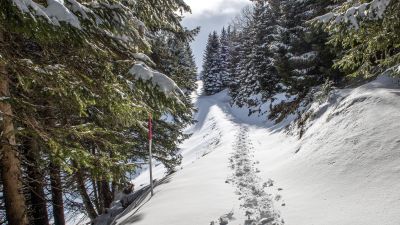 Schneeschuhtrail Panüöl–Prodalp