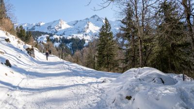 Schneeschuhtrail Maria-Rickenbach