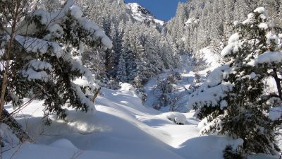 Arnisee-Weg