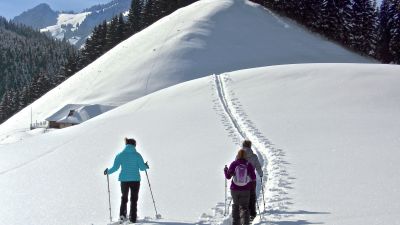Sellamatt–Zinggen Trail