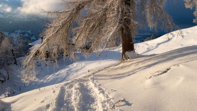 Brunni Trail