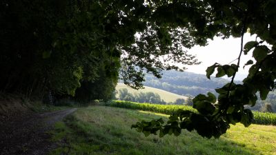 Schaffhauserland Bike, Etappe 3/4