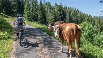Isenau Bike