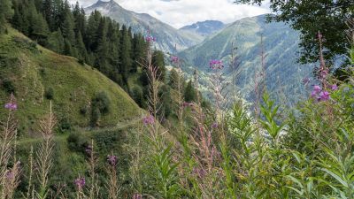 Gommer Höhenweg