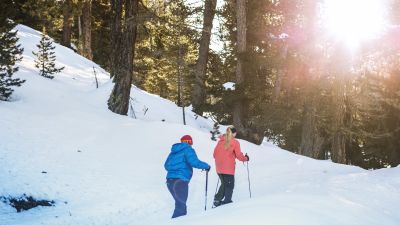 Winterwanderweg Fiesch–Fieschertal