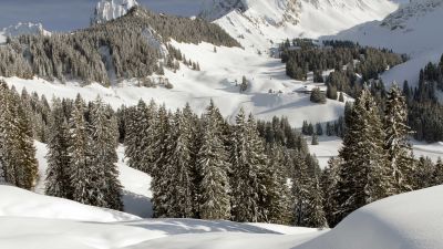 Selibühl-Panoramatrail