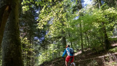 Chaumont Bike