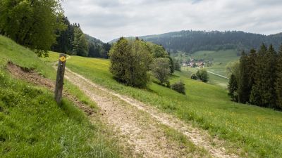 Chemin de Bellelay